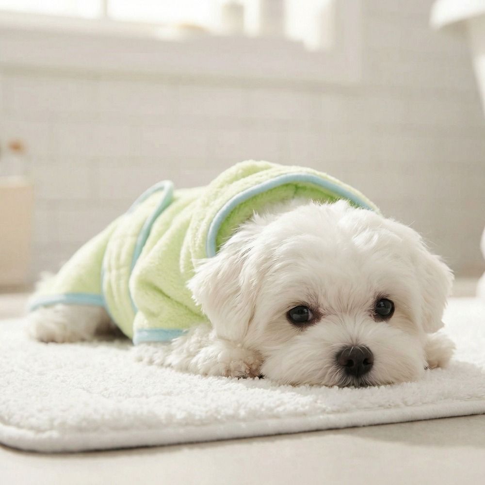 Super Absorbent Dog Hooded Bat - Hooded Bath Towel review and price